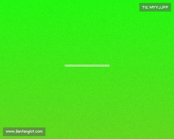 电子竞技坐椅安装、电竞新宠：人体工学战备座驾，革新你的制胜姿态