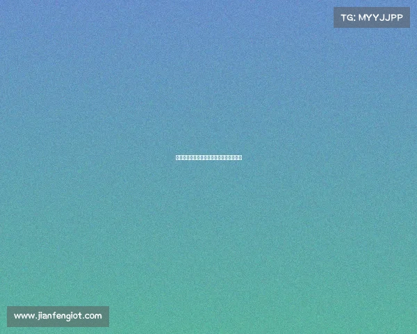 电子竞技的路线是什么—电子竞技五个位置